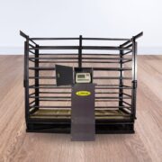 Imagen de WhatsApp 2025-11-10 a las 16.08.43_5b5316a3