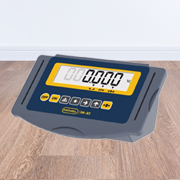 indicadoresdepeso-cat